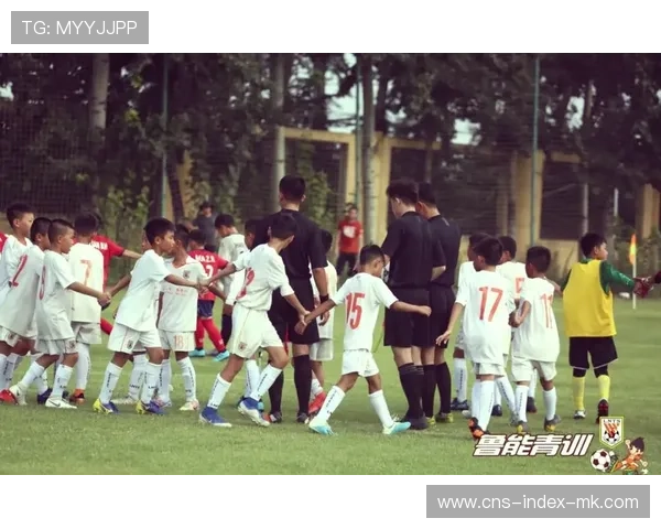 鲁能若重视青训转会收益，俱乐部财政会更健康？