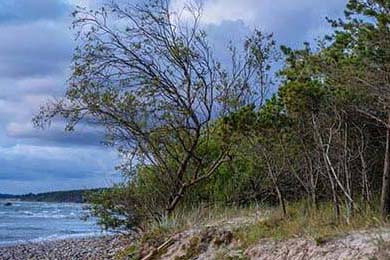 深圳领航队核心控卫发挥稳定串联全队攻势，深圳领航者篮球队官网