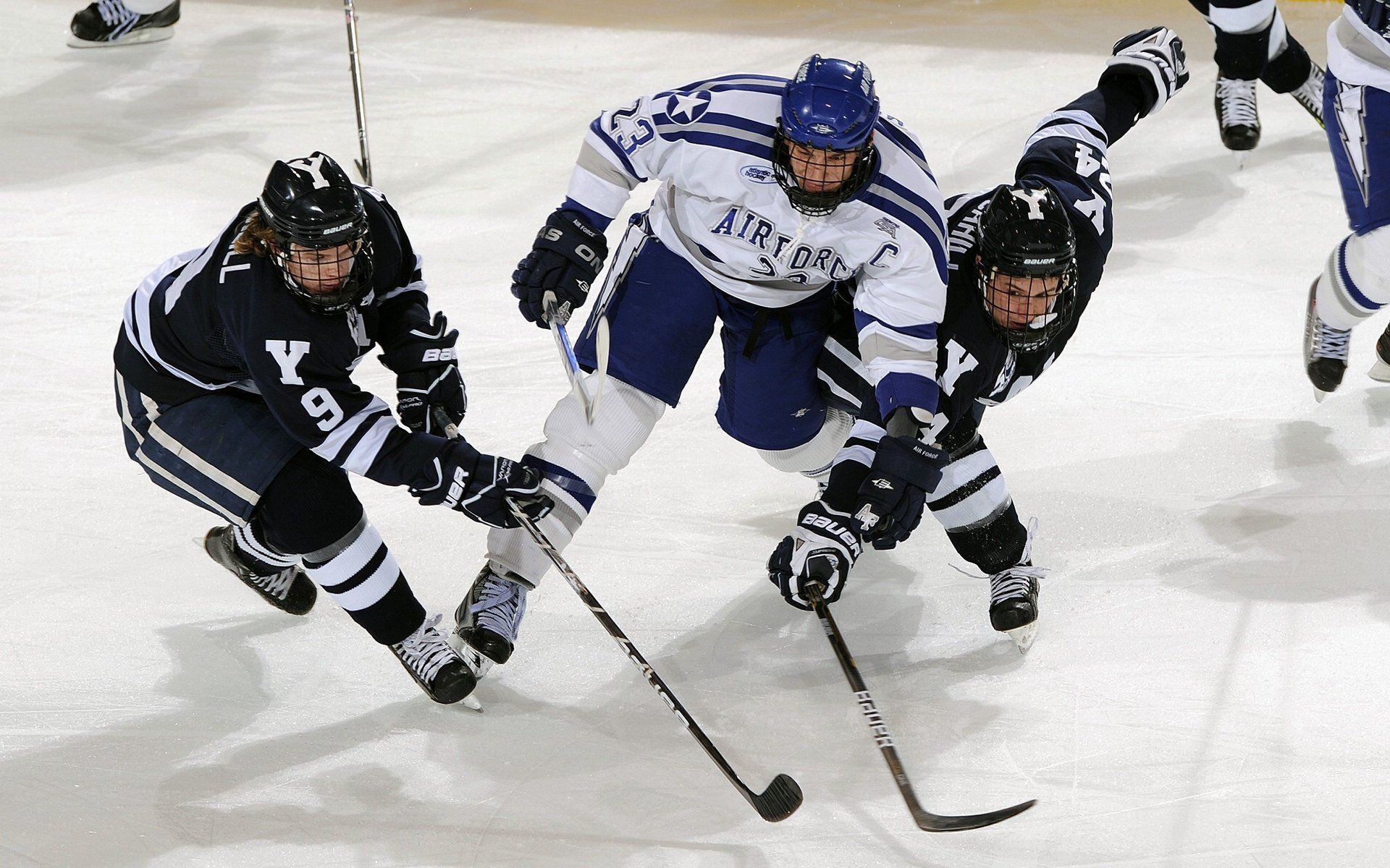 凯恩·瑞安：一位迅速崛起的全黑队核心球员，凯恩是哪队的