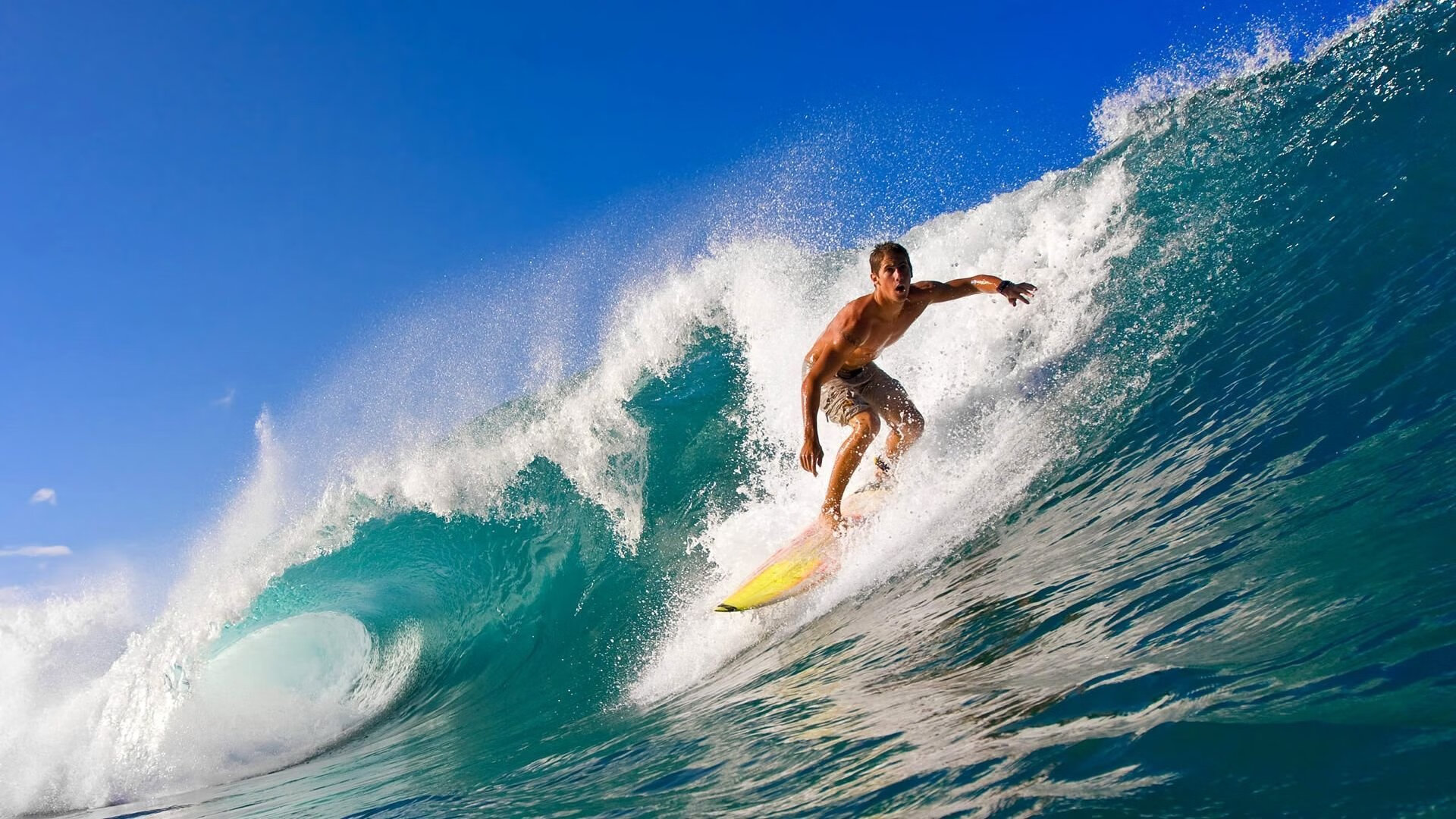 美国队赛制解读：如何通过赛制提升个人与团队表现的平衡，美国队内训练赛